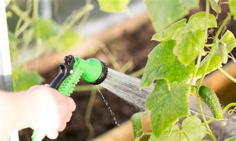 Wise Watering - Hybrid Class, 6600 SW Philomath Blvd, Corvallis, OR ...