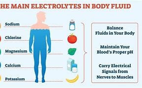 Image result for electrolyte