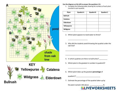 Image result for Free Science Lessons Using Quadrats