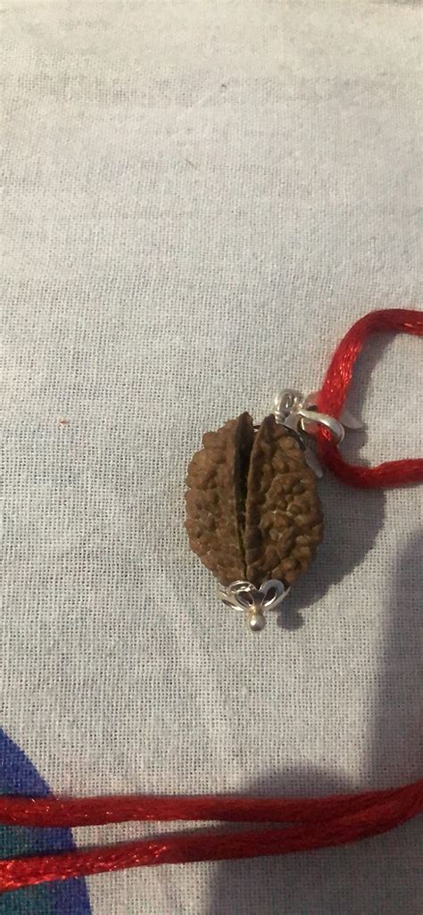 Arihant Gems and Jewels® 2 Mukhi/Faced Indian Rudraksha with 925 Silver ...