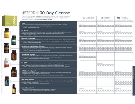 Wellness Made Simple: Reducing Toxic Load | Aceites esenciales doTERRA