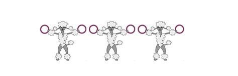 Utställningsträning med Joel Lantz, Andreas Lantz och Caroline ...