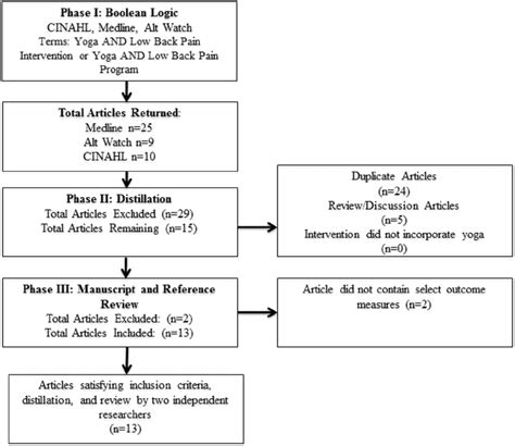 Flow Process of Manual Data Extraction 的图像结果