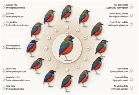 Photos: Top 20 new species of animals and plants of 2016