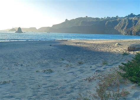 Albion River Campground Camping | The Dyrt