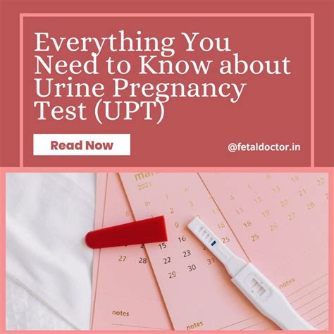 Everything You Need to Know about Urine Pregnancy Test (UPT) - fetaldoctor.in