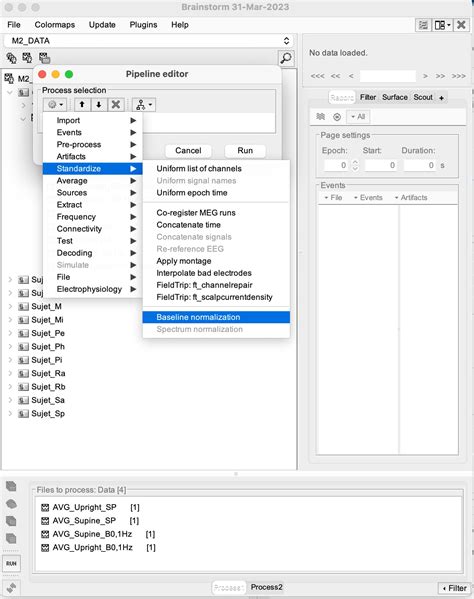 Normalization Process Model 的图像结果