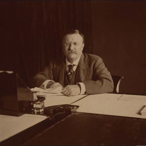 Theodore Roosevelt 的图像结果