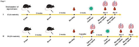SARS-CoV-2-Specific CD8+ T Cells in Blood but Not in the Lungs of ...