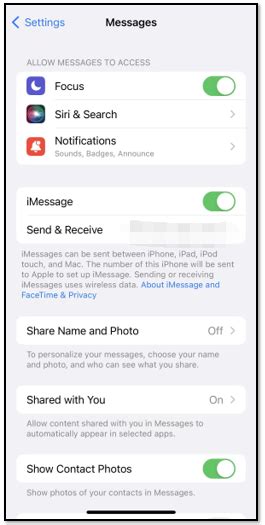 Image result for Help Fix iPhone SE Problems with Text Messages Not Delivered