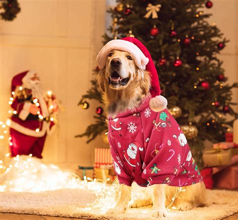 Shop Supjade Christmas Sweater for Dogs & Cats | Cozy 2-Piece Holiday ...