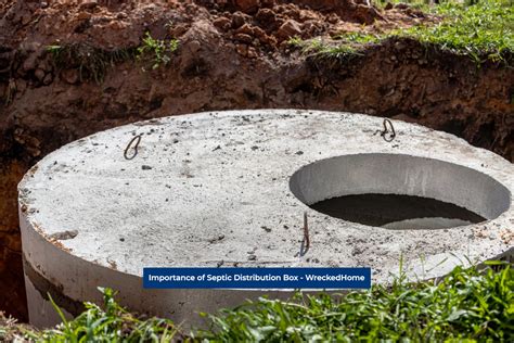 Image result for Septic System Distribution Box Design