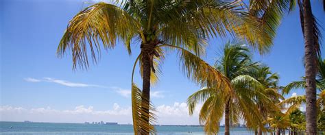 Image result for Key Biscayne Top View