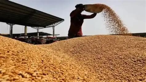 Intra Haryana E-Salary Slip 2025 सैलरी देखने का सबसे आसान तरीका