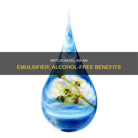 Witch Hazel As An Emulsifier: Alcohol-Free Benefits | CyAlcohol