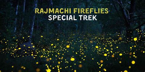 Rajmachi Fireflies Special Trek Tickets, Khopoli, 1 June to 2 June ...
