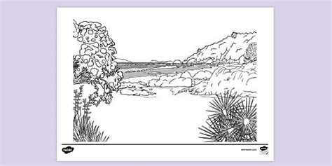 New Zealand Beach Colouring | Colouring Sheets - Twinkl