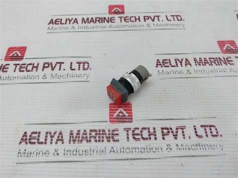 Tschudin & Heid Ch-4153 Pushbutton Switch 6-220V – Aeliya Marine Tech