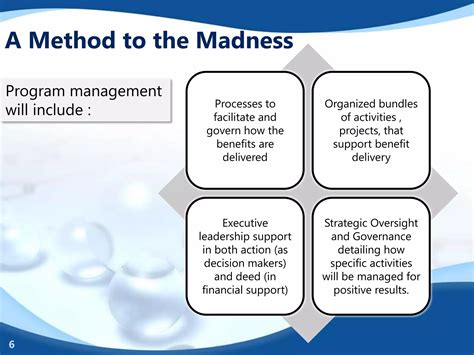 Image result for Program Management Overview