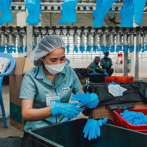 柬埔寨首座医用手套厂正式投产_投资_集团_洪森