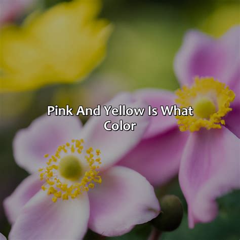 What Is Hue In Color - colorscombo.com