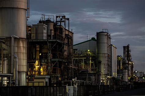 Vegetable Oil Refining Plant Suppliers | Mectech