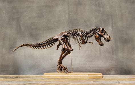 Dinosaur Journey Museum Fruita: Ultimate 2025 Guide & Tips