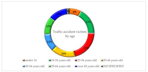 Enhancing Road Safety Decision-Making through Analysis of Youth Survey ...