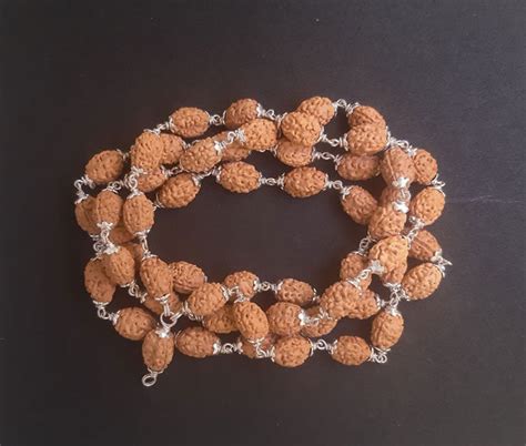 54+1 beads 3 mukhi Rudraksha mala with silver capping – Rudradhyay