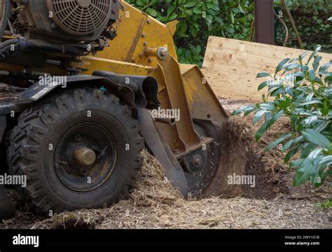 Image result for Tree Stump Grinder