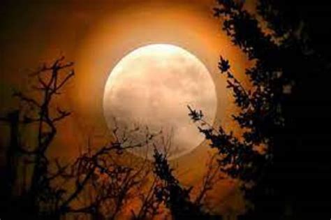Chandragrahan Astro Tips: বছরের শেষ চন্দ্রগ্রহণে বিশেষ সতর্ক থাকুন ...