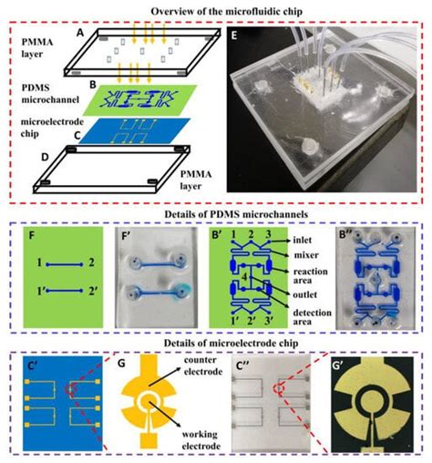 Rapid Evaluation of Antibacterial Carbohydrates on a Microfluidic Chip ...
