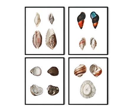 Image result for Sea Shells Prints