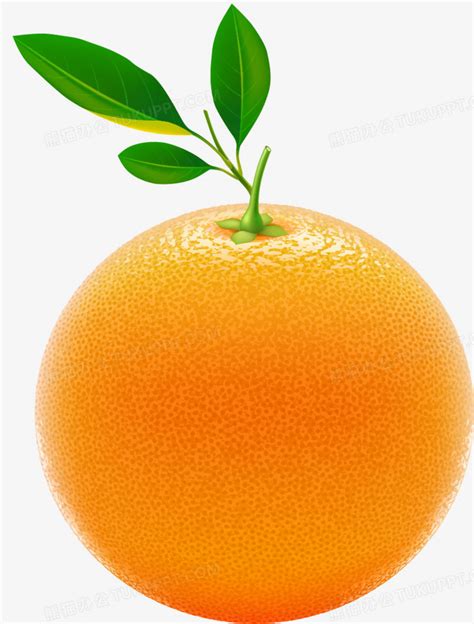 橘子怎么种植方法 - 花百科