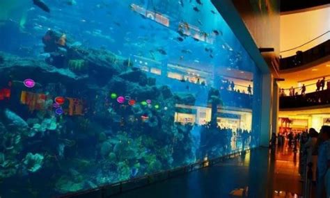 上海海洋水族馆 - 场所详情 -上海市文旅推广网-上海市文化和旅游局 提供专业文化和旅游及会展信息资讯