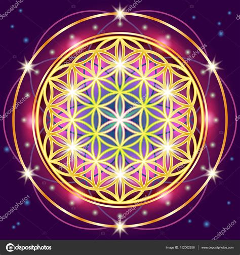 Image result for Flower of Life Pattern