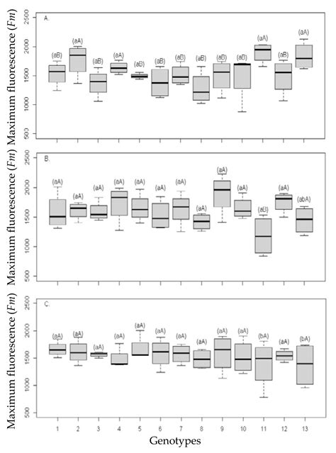 Salt Tolerance Indicators in ‘Tahiti’ Acid Lime Grafted on 13 Rootstocks