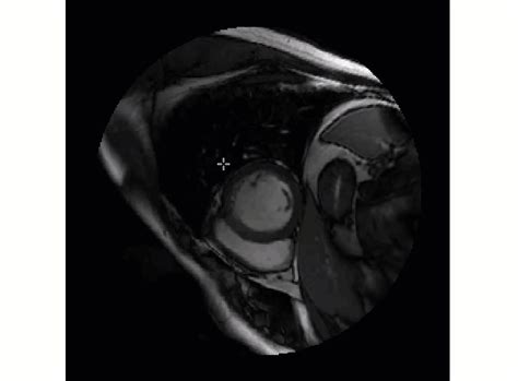 Image result for MATLAB 2024 Install