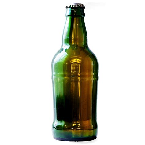 Beer Bottle Png PNG Images (200++)