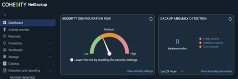 Cohesity NetBackup 11.0: Protecting data from the cyber threats of ...