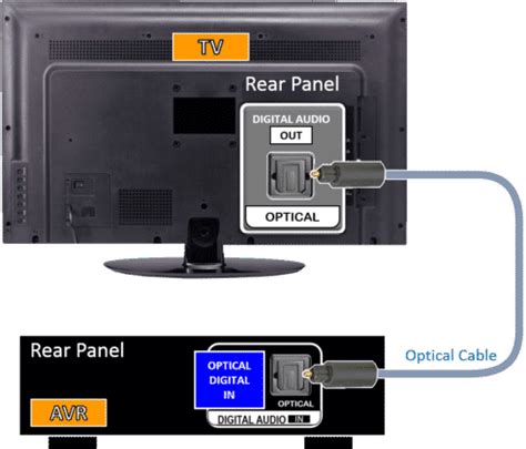 Image result for Cable Leg Extensions Exercise