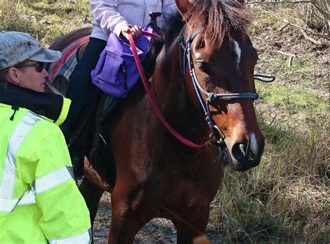 RJ HORSE RIDING LLC. (2025) All You Need to Know BEFORE You Go (with ...