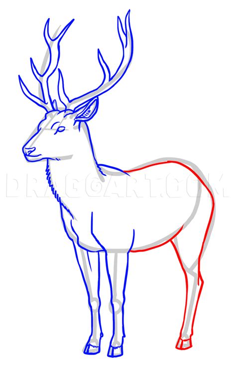 Deer Drawing Tutorial 的图像结果