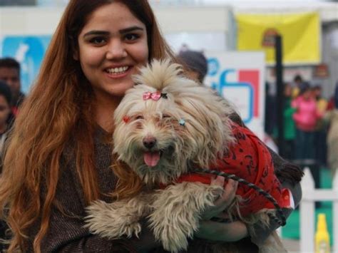Pictures Of Dogs From This Years Pet Fed To Help Fight Mid Week Blues