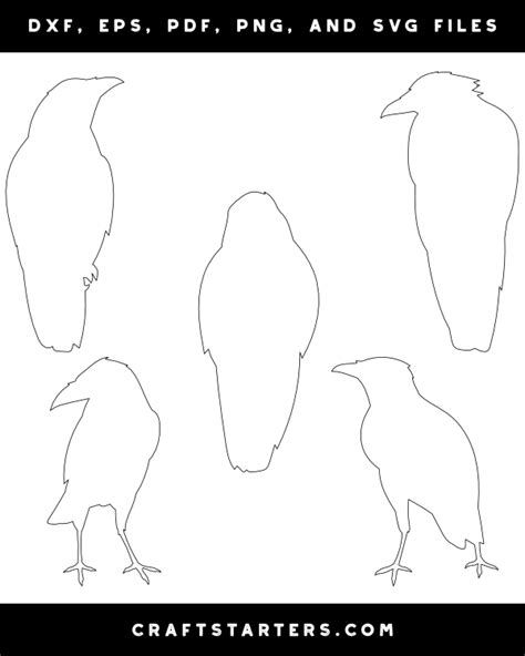 Image result for Crow Front View