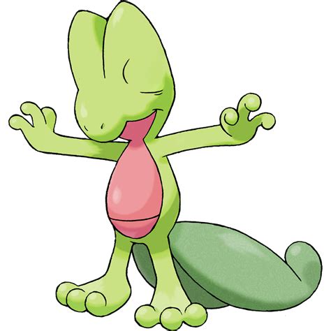 Image result for Final Evolution of Treecko