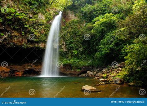 Lower Tavoro Waterfalls in Bouma National Heritage Park, Taveuni Island ...