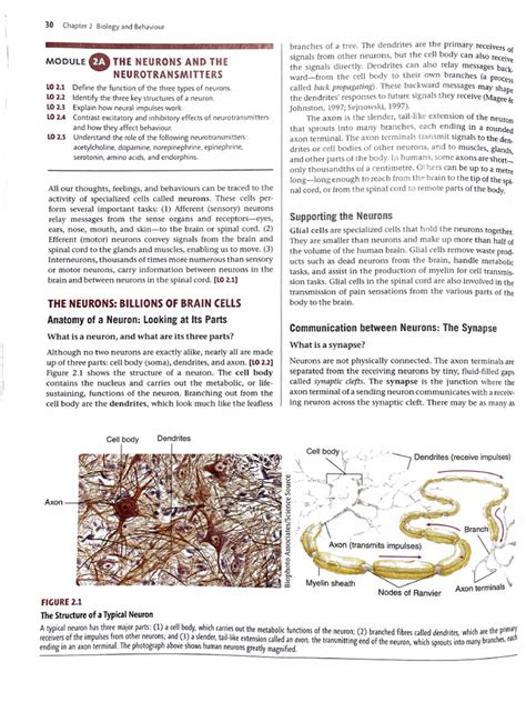 Image result for Bio Chapter 2