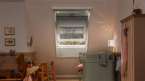 Insect Screen 的图像结果