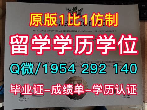 国际商学院中方毕业证书及学位证书样式(2020)